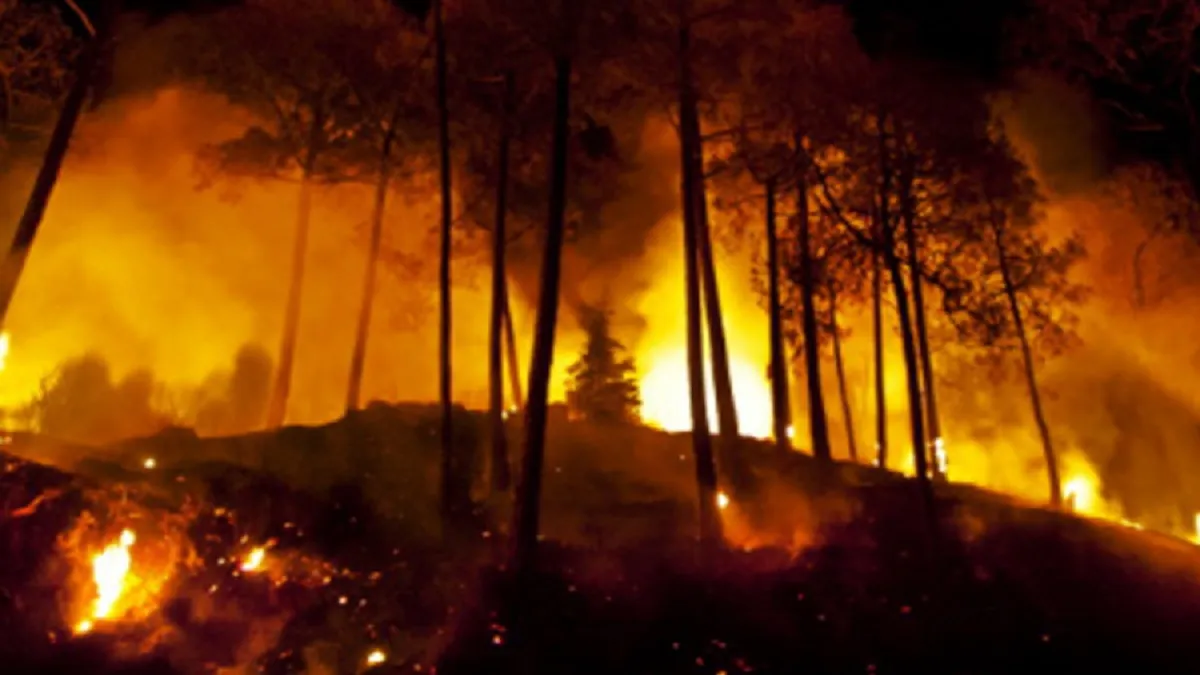 चिली के जंगलों में आग से 13 लोगों की मौत- India TV Hindi