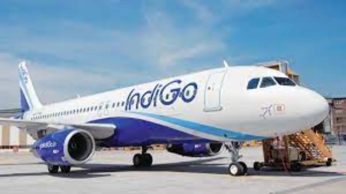 Indigo flight emergency landing- India TV Hindi