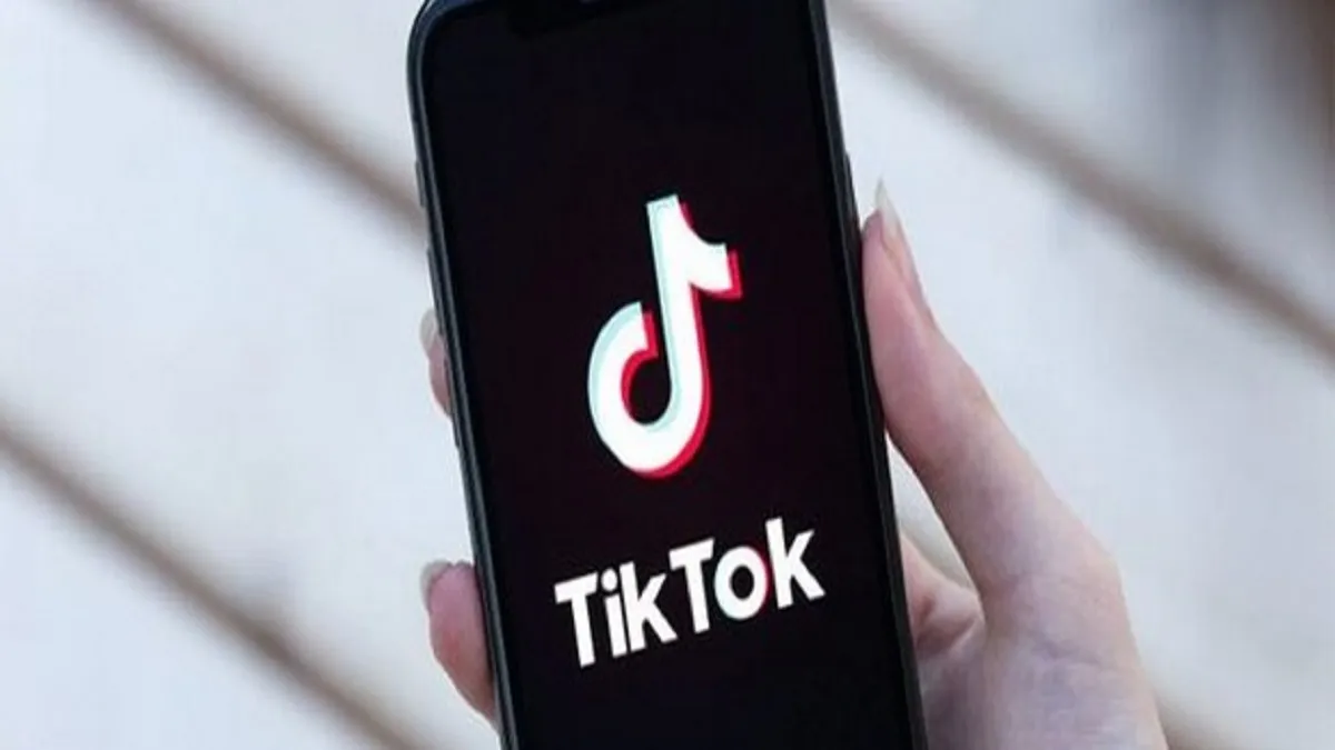 TikTok- India TV Hindi