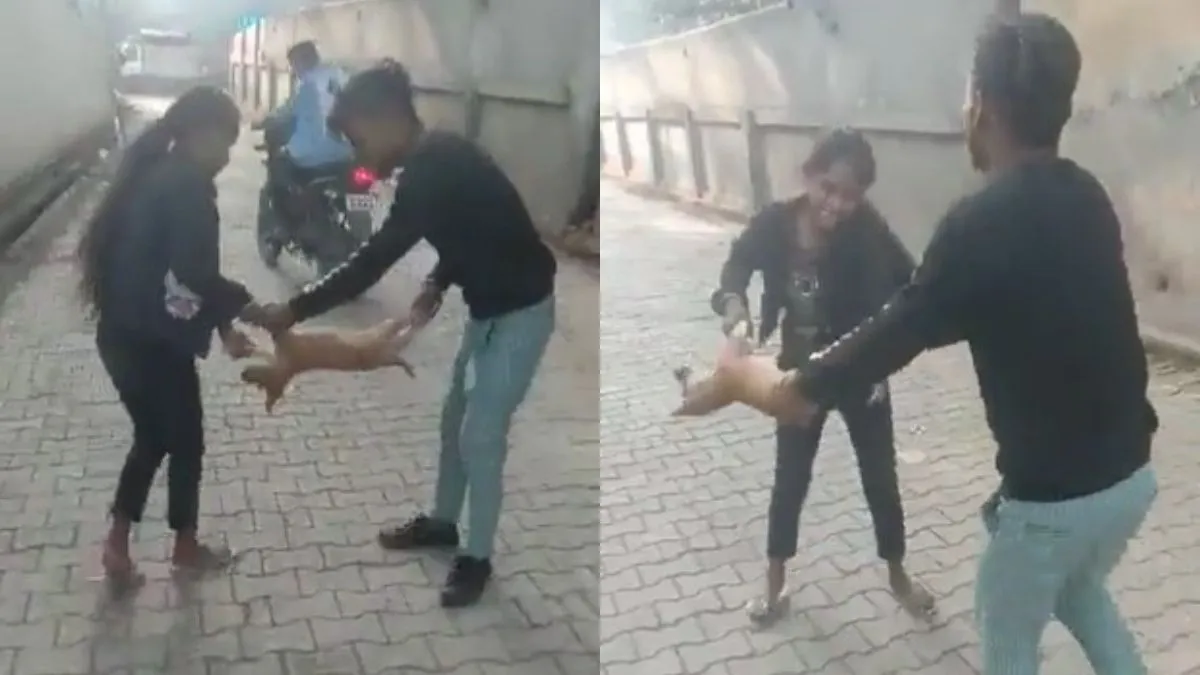 एक युवक और युवती कुत्ते के बच्चे को हवा में झूला रहे हैं।- India TV Hindi