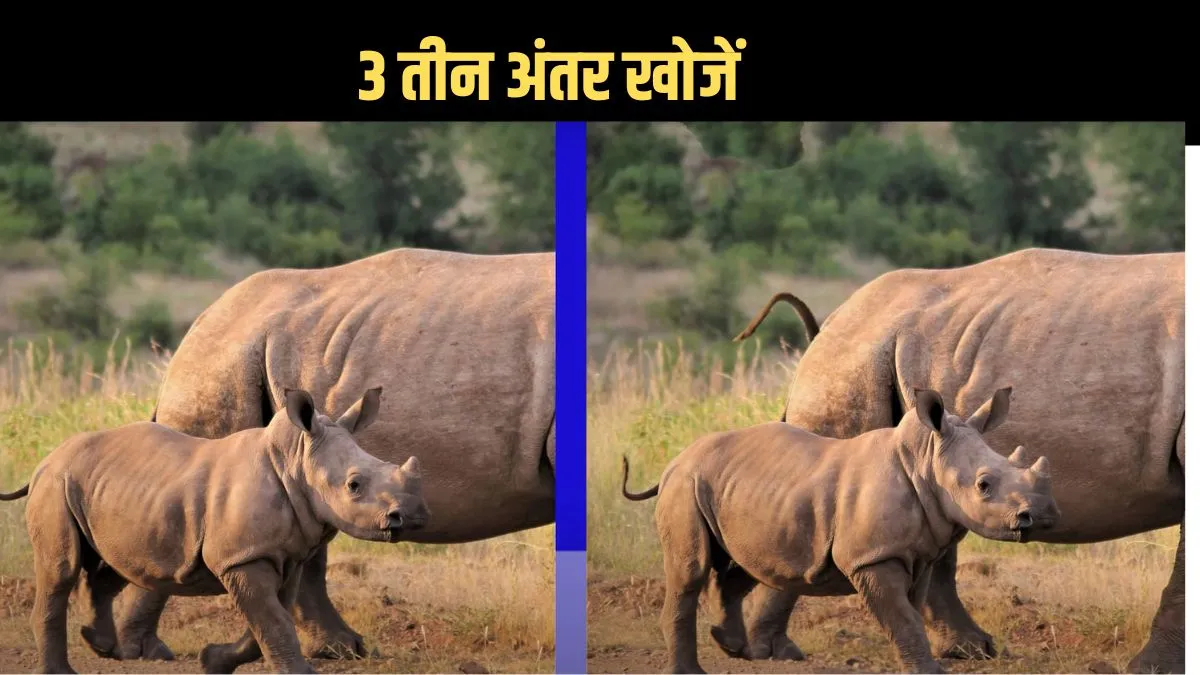 Find the difference game- India TV Hindi