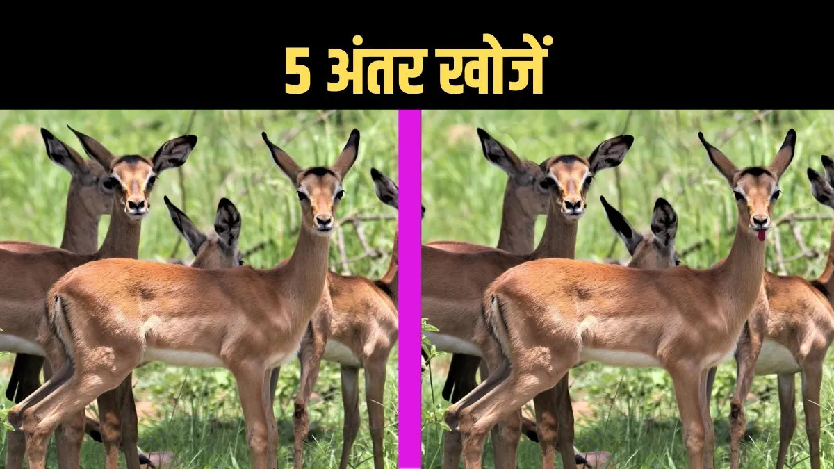 find the difference in this photo- India TV Hindi