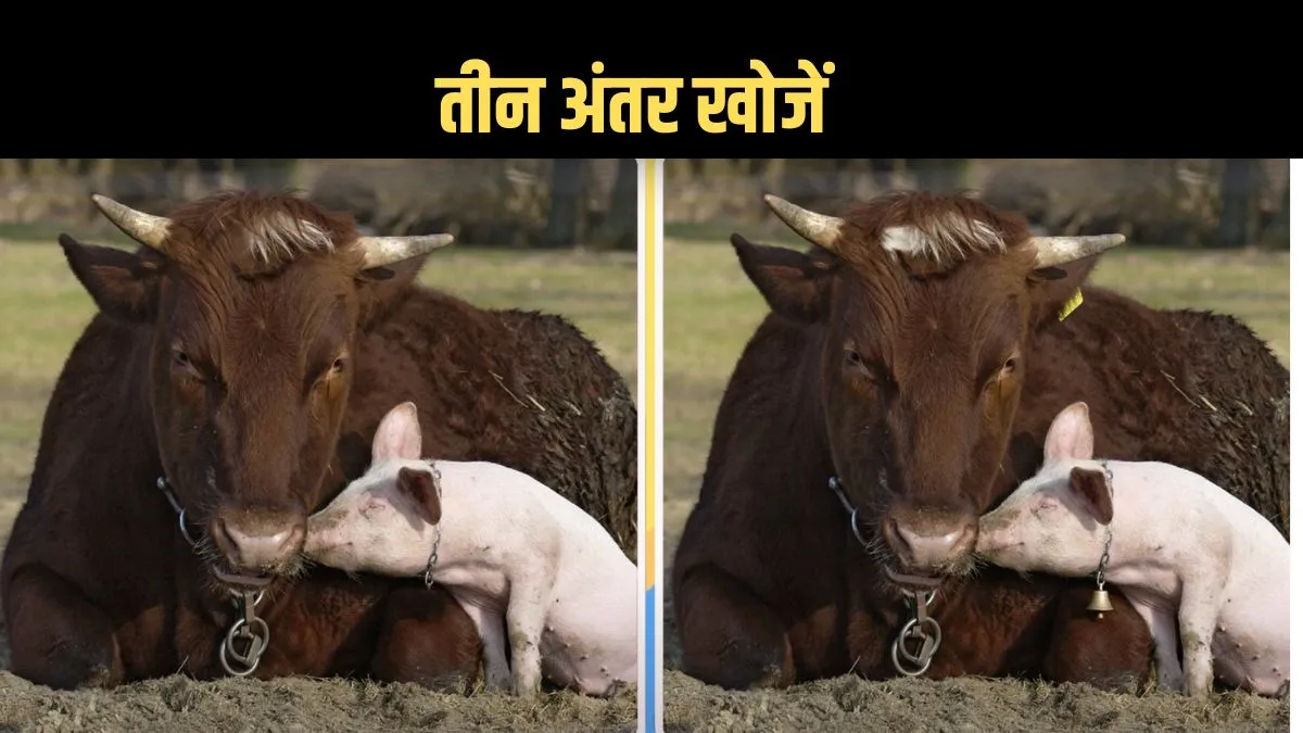 viral photo- India TV Hindi