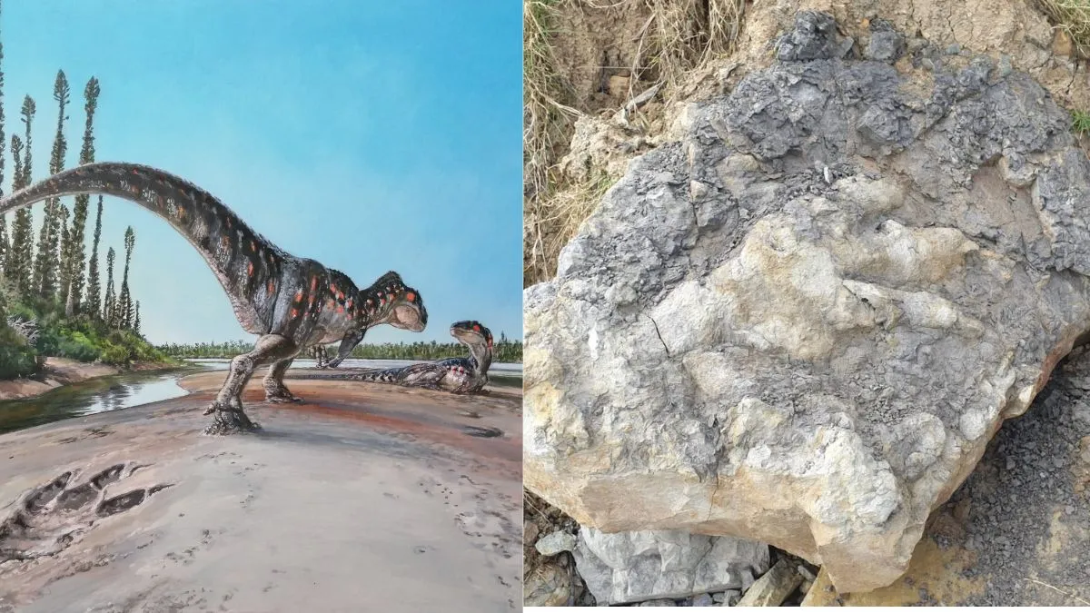 largest dinosaur footprint- India TV Hindi