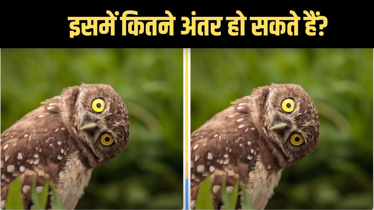 How many differences can there be between the two photos.- India TV Hindi