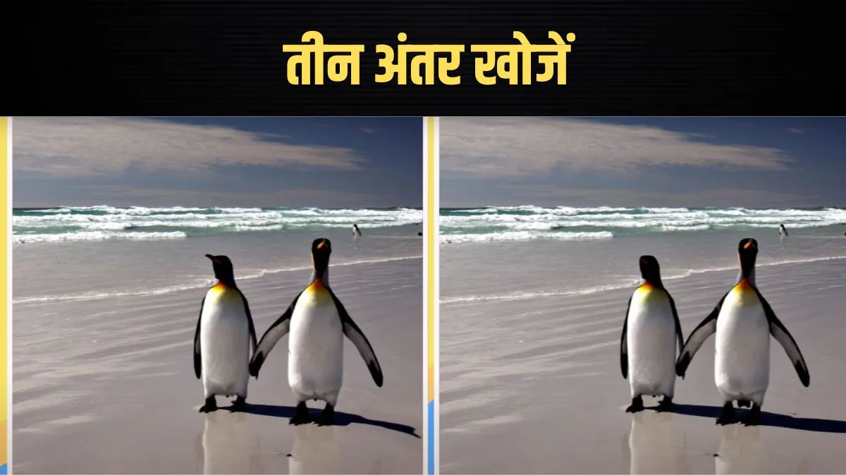 find three differences in this photo- India TV Hindi