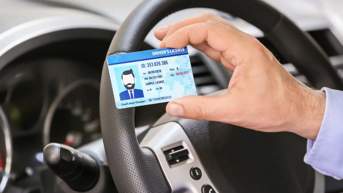 tips to download online driving licence- India TV Paisa