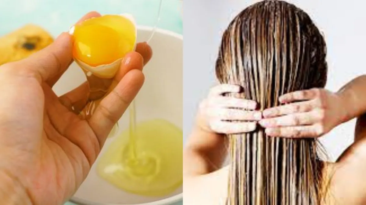 egg_mask_for_hair- India TV Hindi