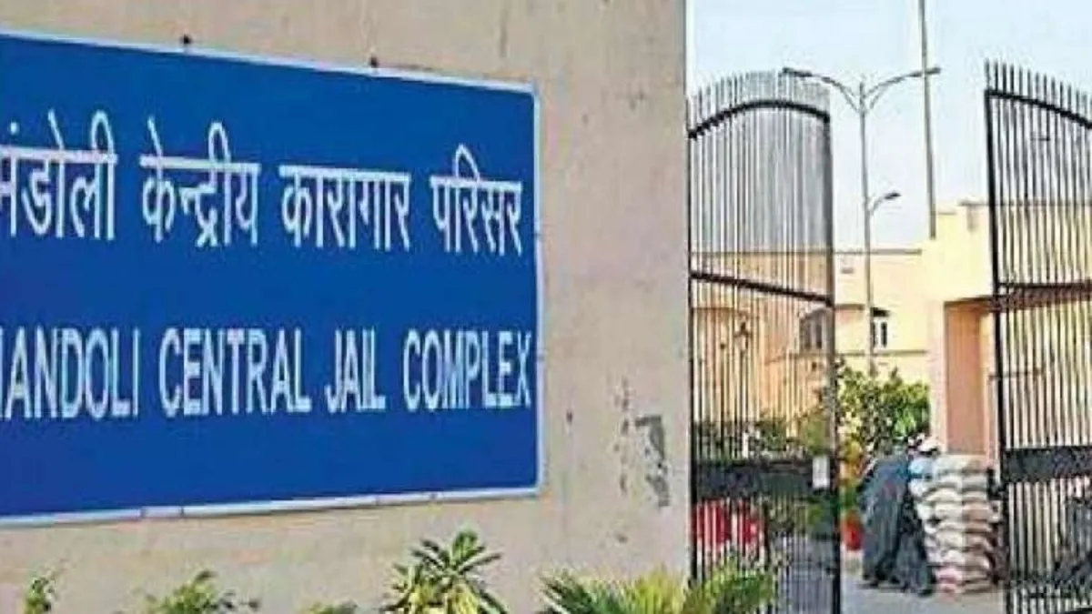दिल्ली की जेल से 5 मोबाइल फोन बरामद, कैदी ने टांग में छुपाकर रखे थे- India TV Hindi