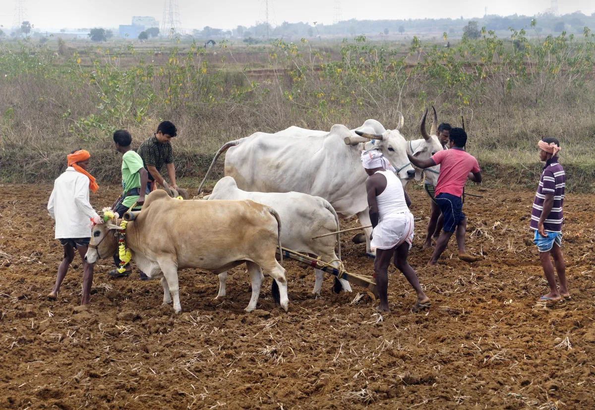 किसान- India TV Paisa