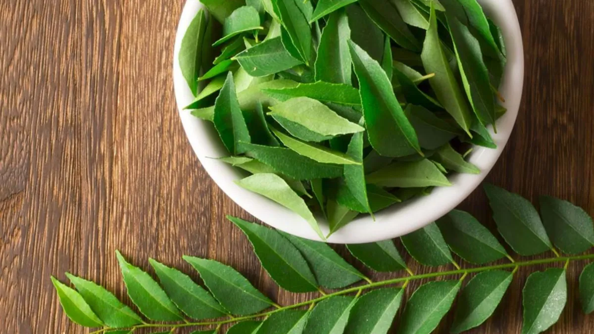 curry_leaves_for_hair- India TV Hindi