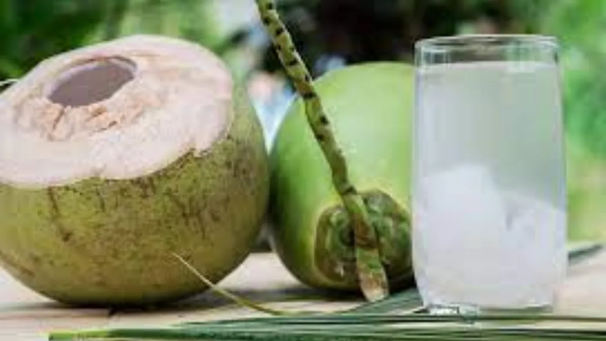 coconut_water- India TV Hindi