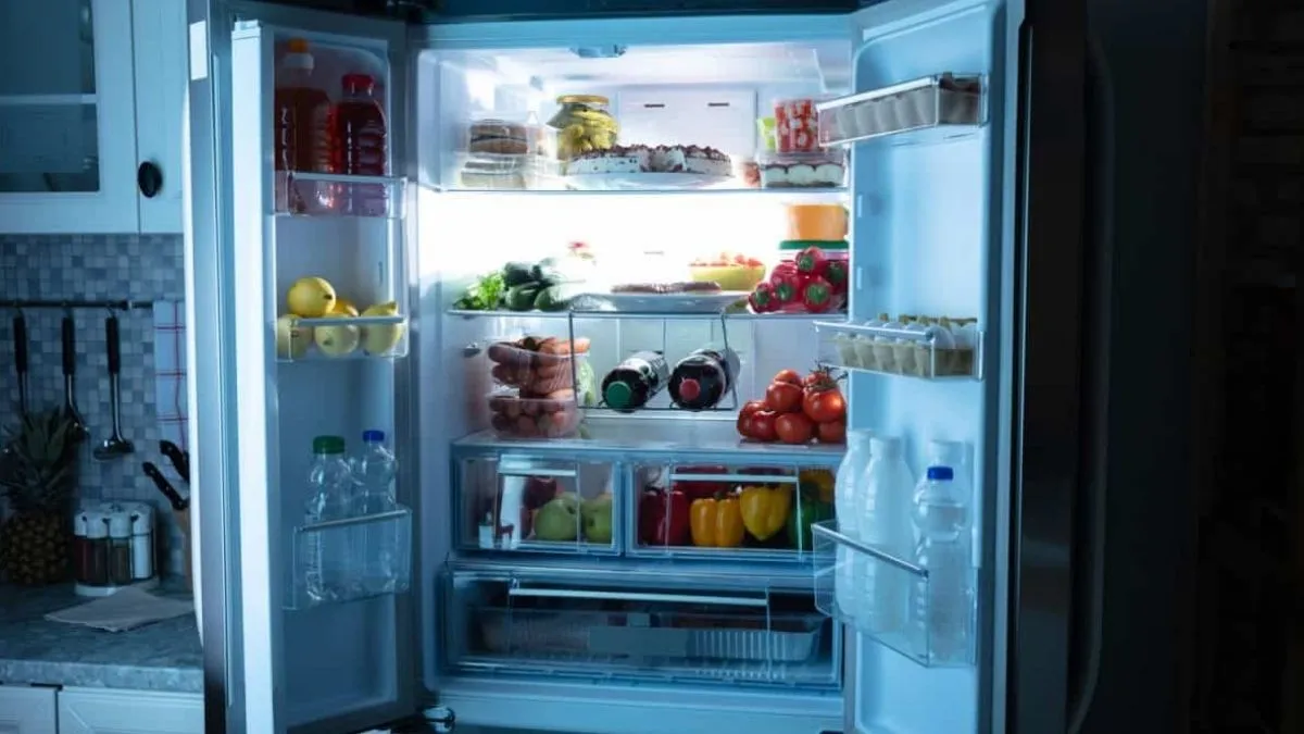 fridge temperature India, ideal fridge temperature in India, recommended fridge setting in India- India TV Hindi