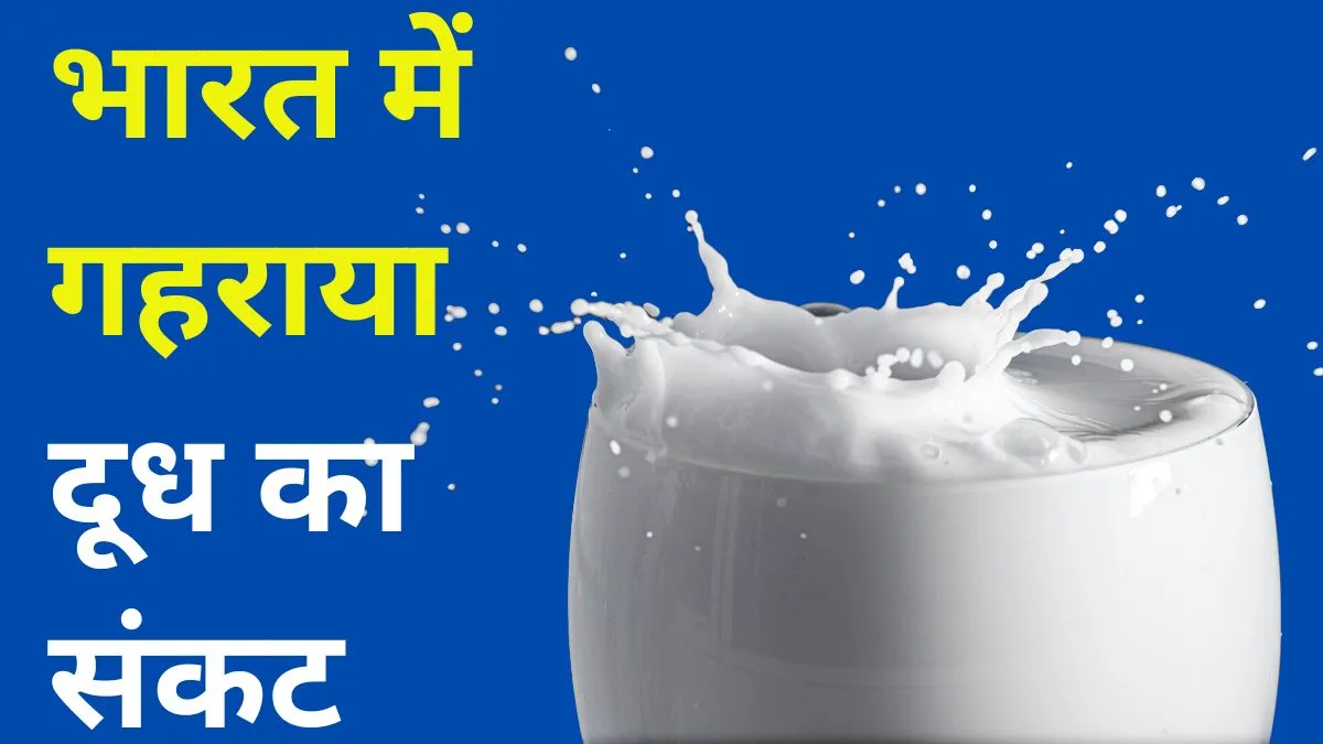 Milk Production in India- India TV Paisa