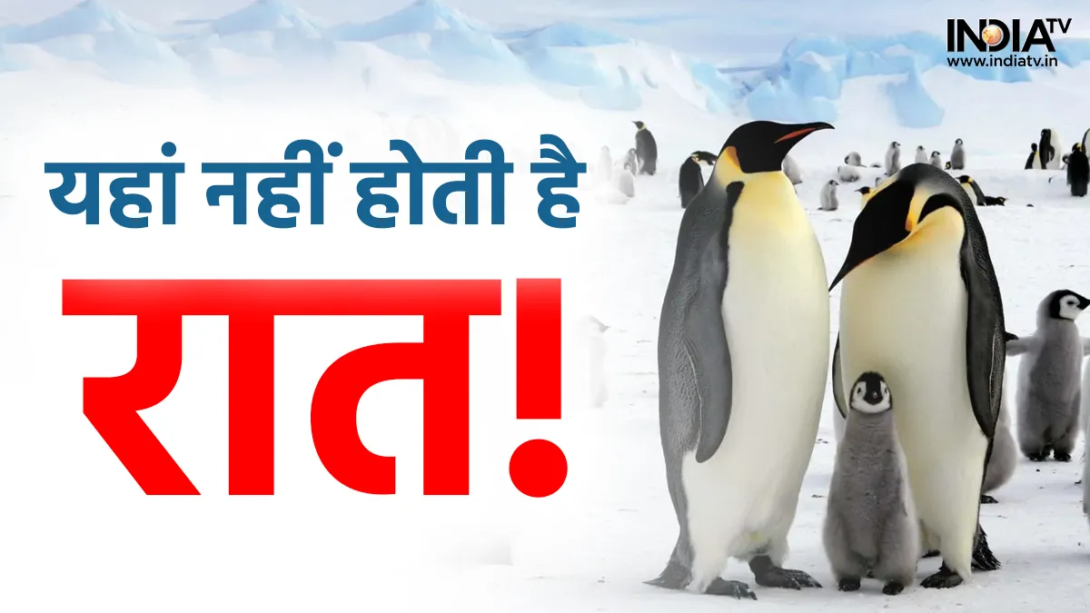 Antarctica- India TV Hindi