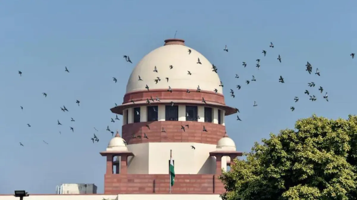 child custody, child custody supreme court, supreme court, supreme court contempt person- India TV Hindi