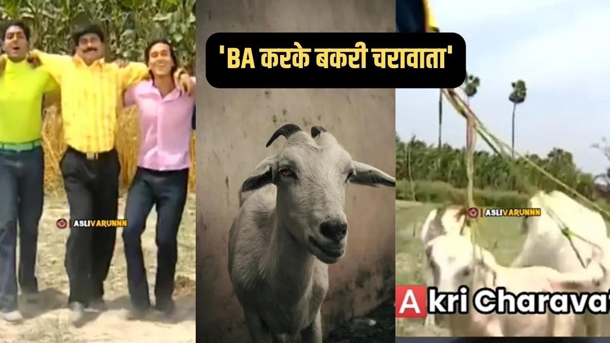 viral bhojpuri song- India TV Hindi