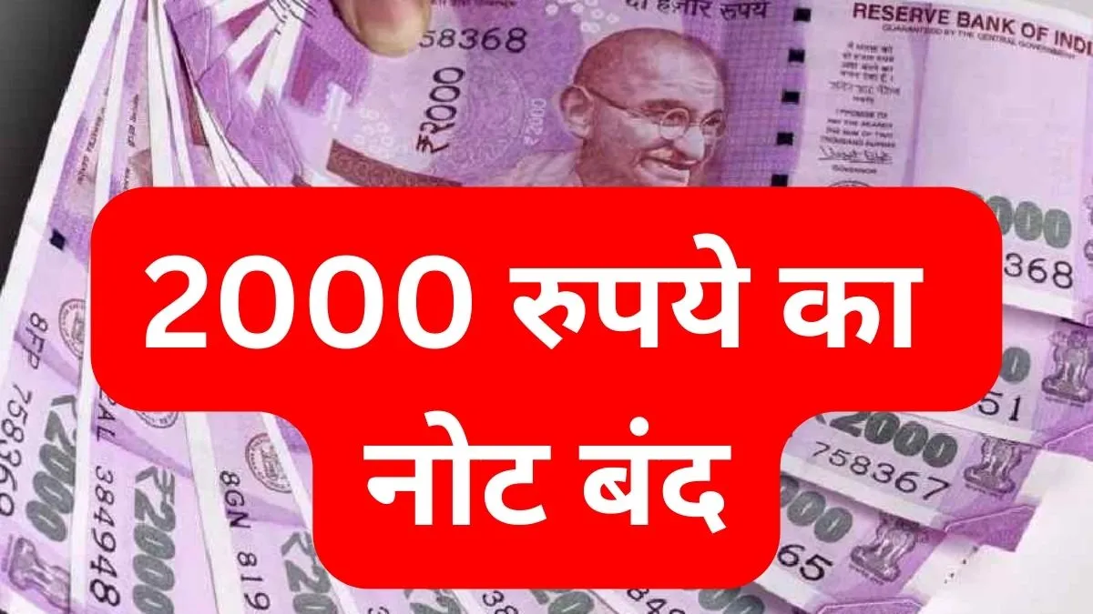 RBI ने दो हजार रुपये के नोट को वापस लेने का फैसला किया है- India TV Paisa