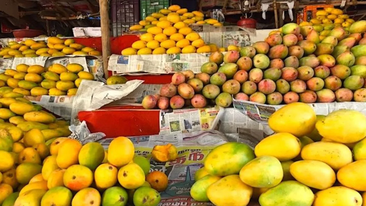 zepto, zepto mango, zepto mango data, 25 crore mango, Zepto mango online delivery, Mango home delive- India TV Hindi