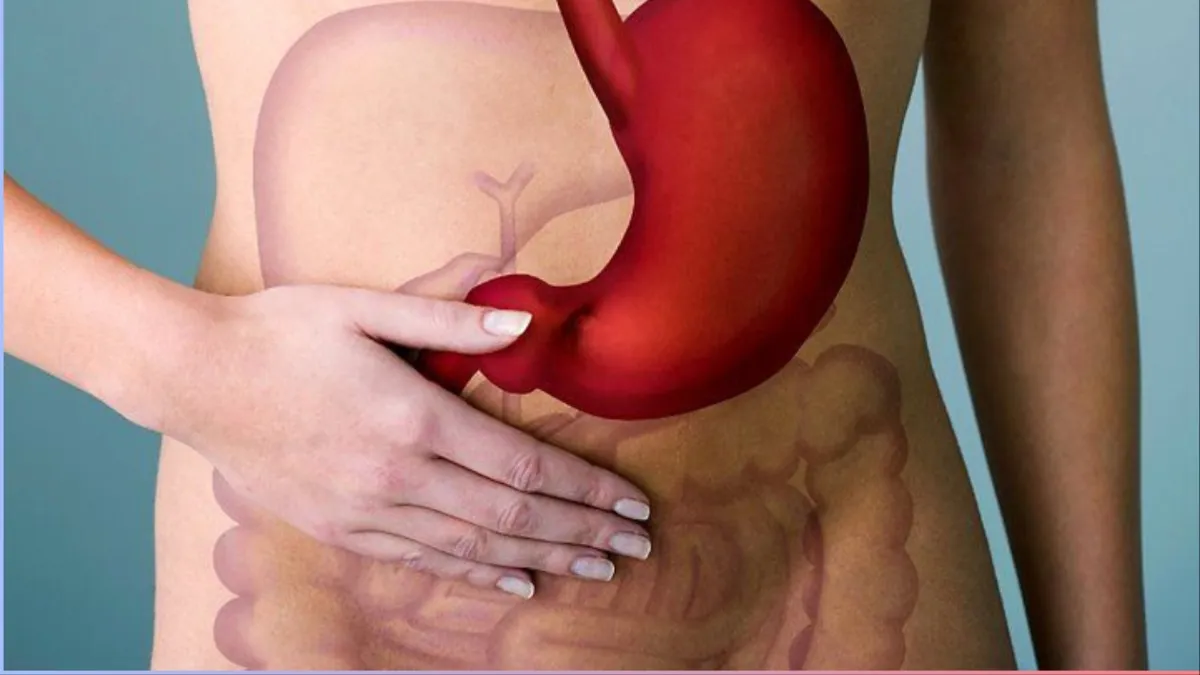 Appendix_pain_causes- India TV Hindi