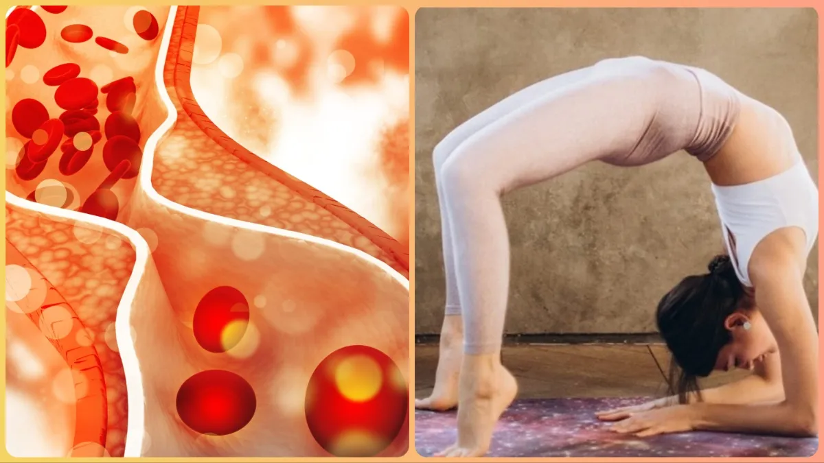 Yoga for high cholesterol- India TV Hindi