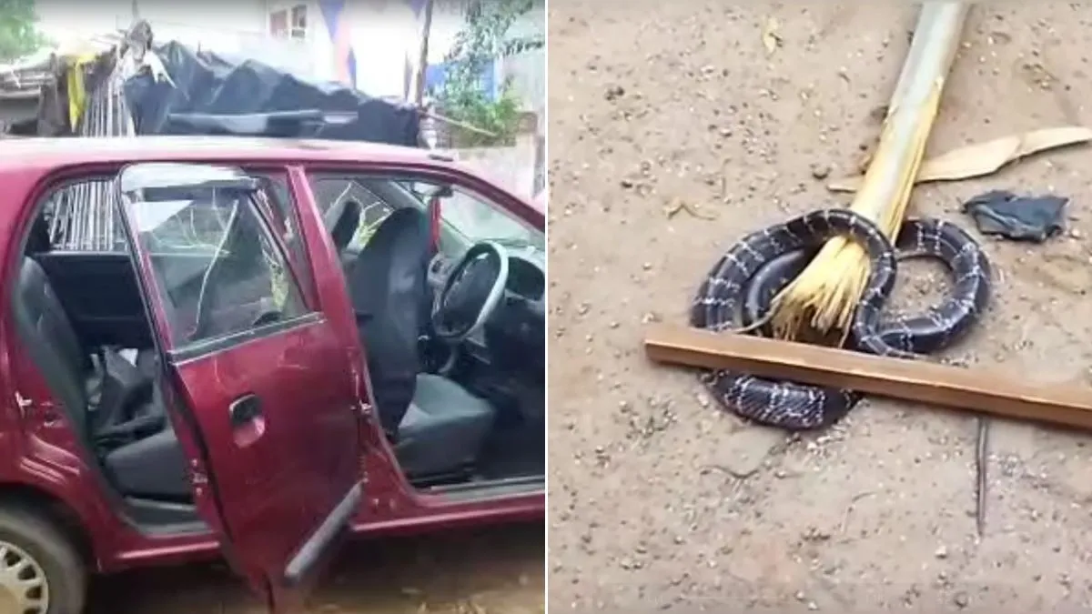 snake in car- India TV Hindi