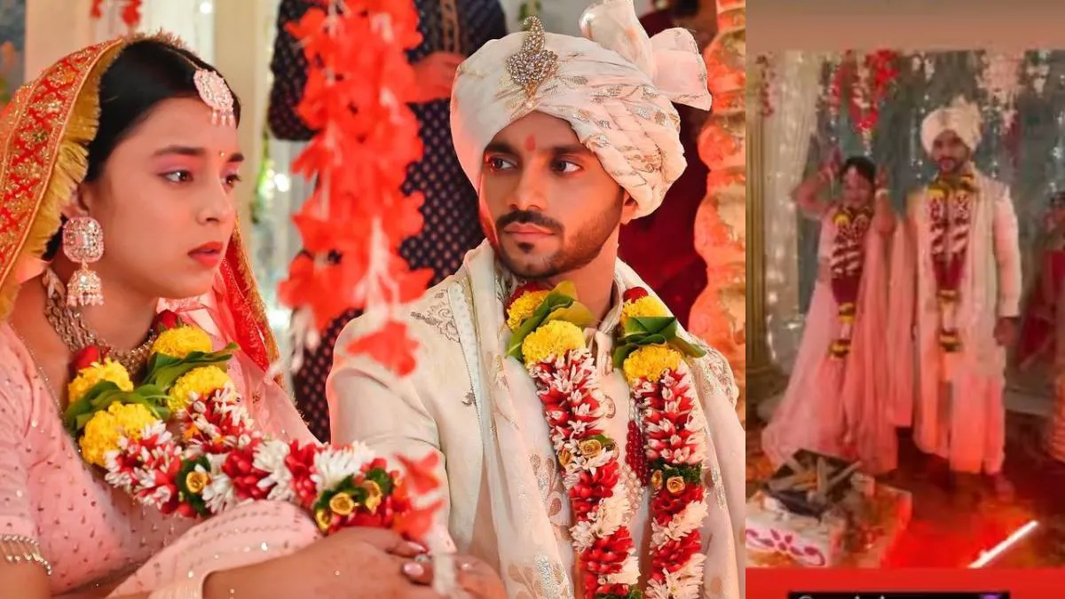 Sumbul Touqeer Khan wedding Photos- India TV Hindi