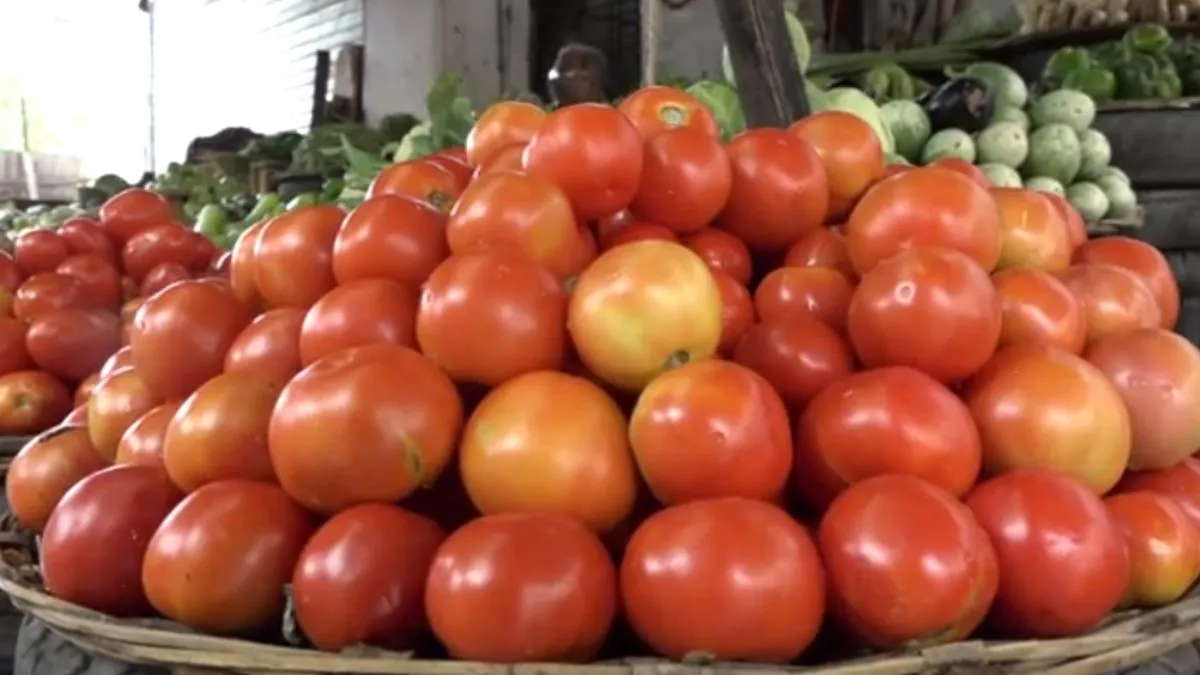 Tomato price- India TV Hindi
