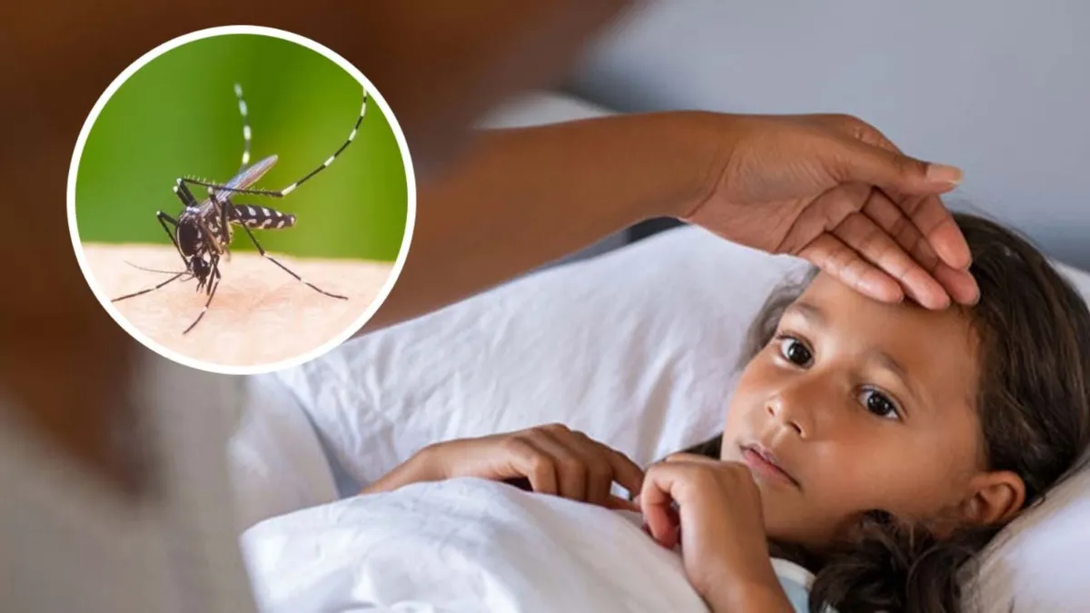 dengue_chikungunya- India TV Hindi