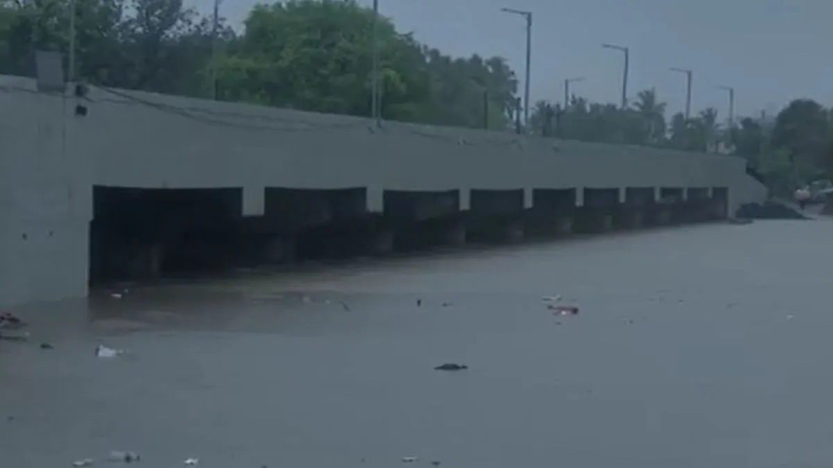 gujarat rains - India TV Hindi