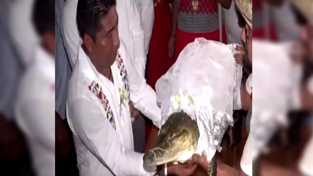 दक्षिणी मैक्सिको के मेयर ने मगरमच्छ से शादी की - India TV Hindi