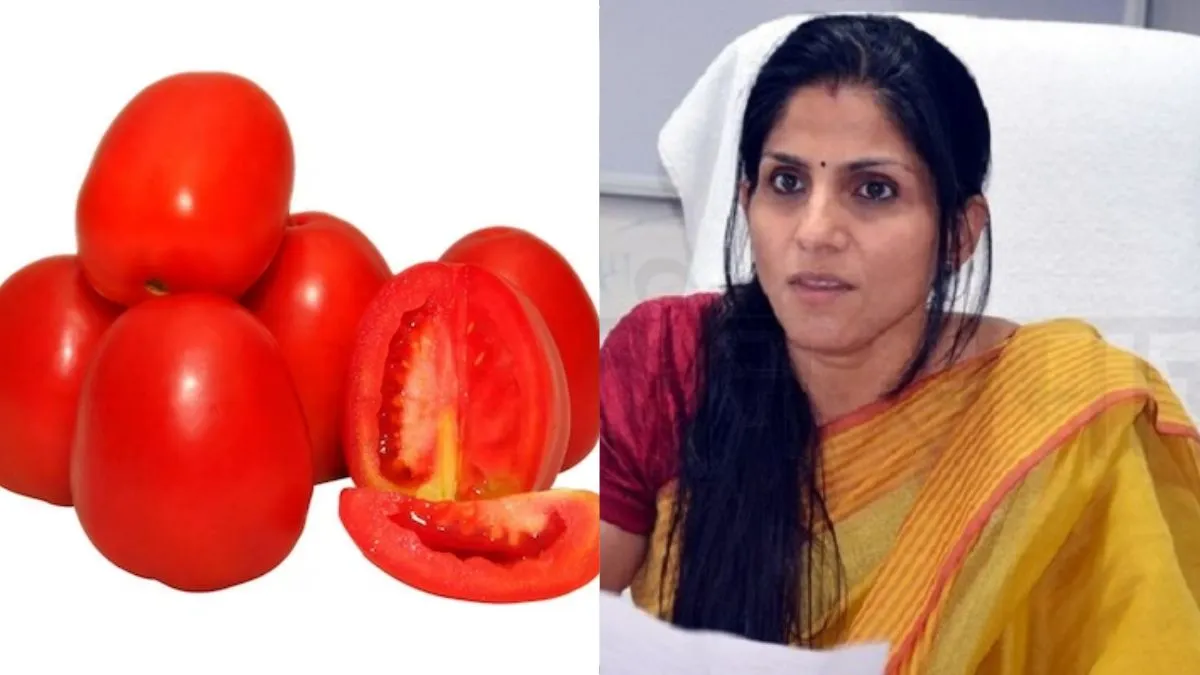 uttarakhand, tomato- India TV Hindi