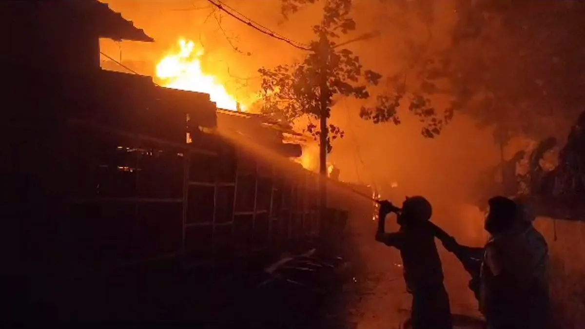 अल्जीरिया के जंगल में लगी भीषण आग। - India TV Hindi