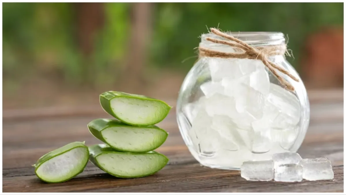 aloe vera uses for stomach pain- India TV Hindi