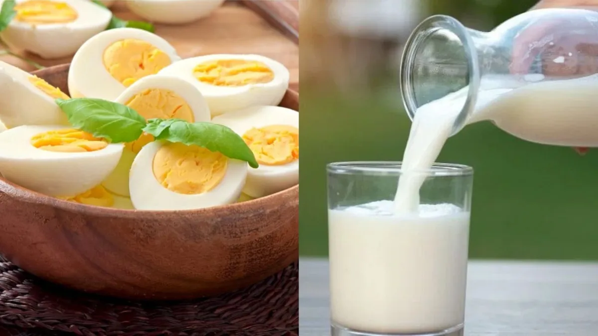egg_milk- India TV Hindi