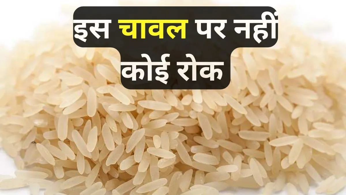 सरकार ने दी सफाई- इस चावल पर नहीं लगा है एक्सपोर्ट बैन- India TV Paisa