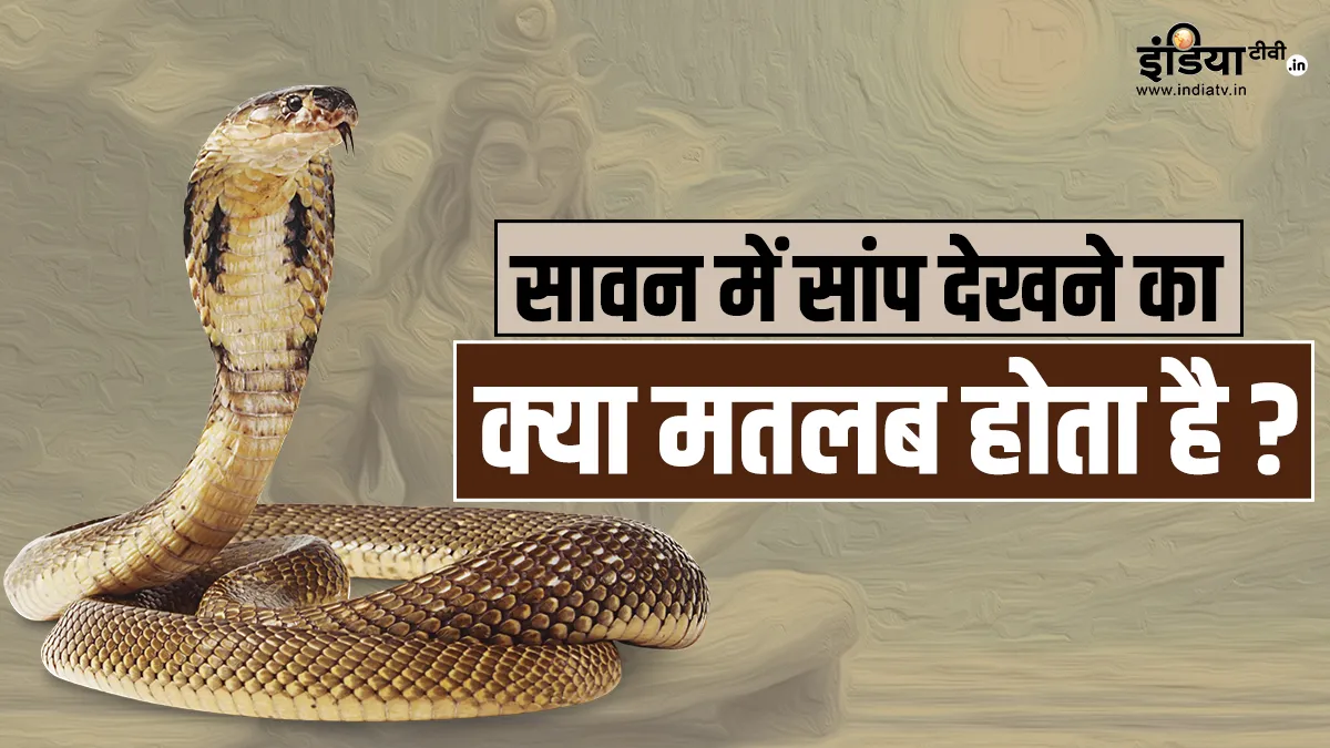 Snake Dream Meaning- India TV Hindi