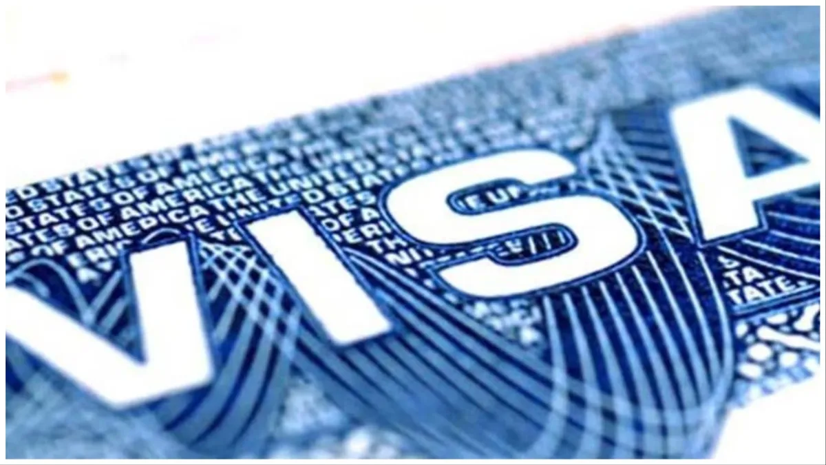 US H1B VISA More than 10 lakh Indians got American visa Indians made over 1 in 10 visa applications - India TV Hindi