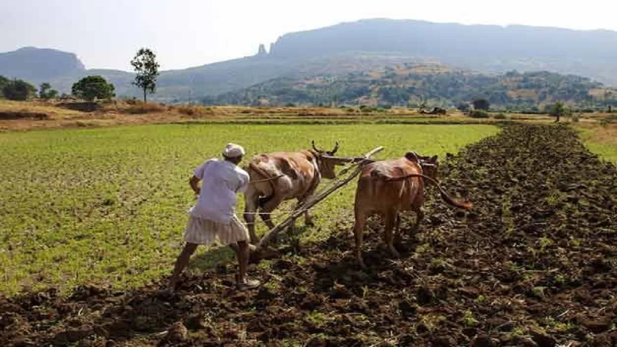 farmers committed suicide- India TV Hindi