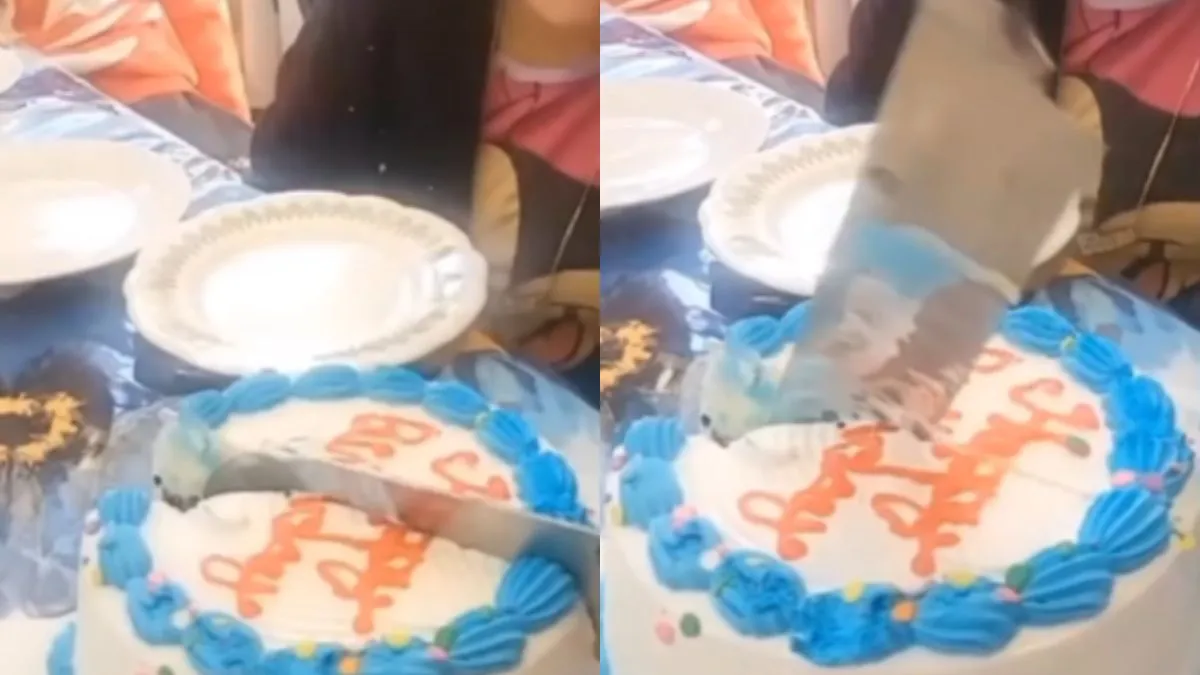 इस केक की मजबूती के आगे चाकू और हथौड़े सब हो गए फेल- India TV Hindi