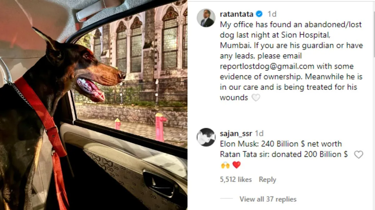 इस कुत्ते के मालिक को खोजने के लिए रतन टाटा ने डाला पोस्ट- India TV Hindi