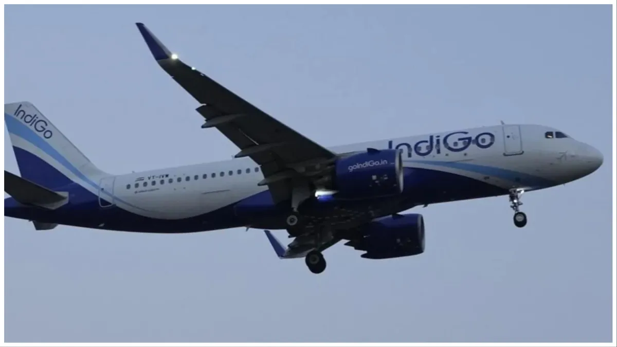 ranchi delhi flight doctors save six month old baby life in indigo flight for delhi- India TV Hindi