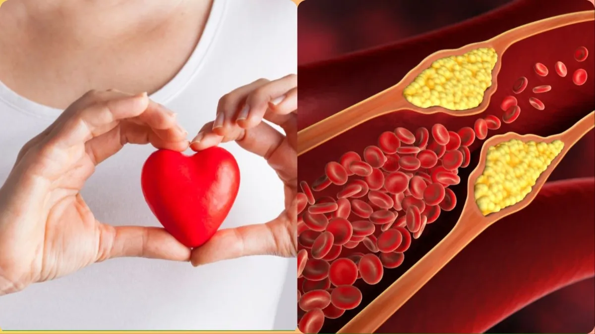  bad cholesterol remedies- India TV Hindi