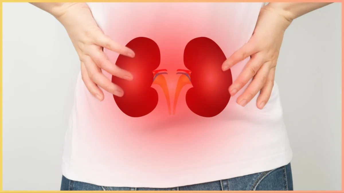 kidney health issues- India TV Hindi