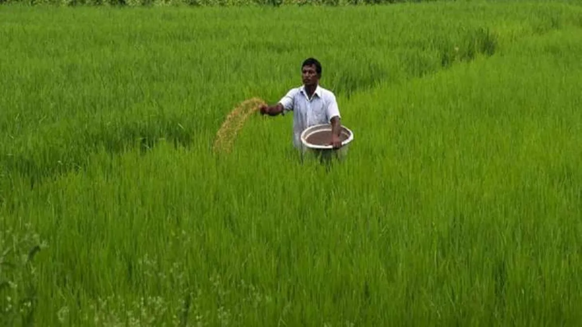 Fertilizer Subsidy - India TV Paisa