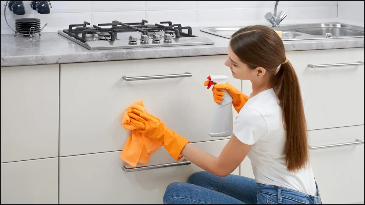 Kitchen Cleaning- India TV Hindi