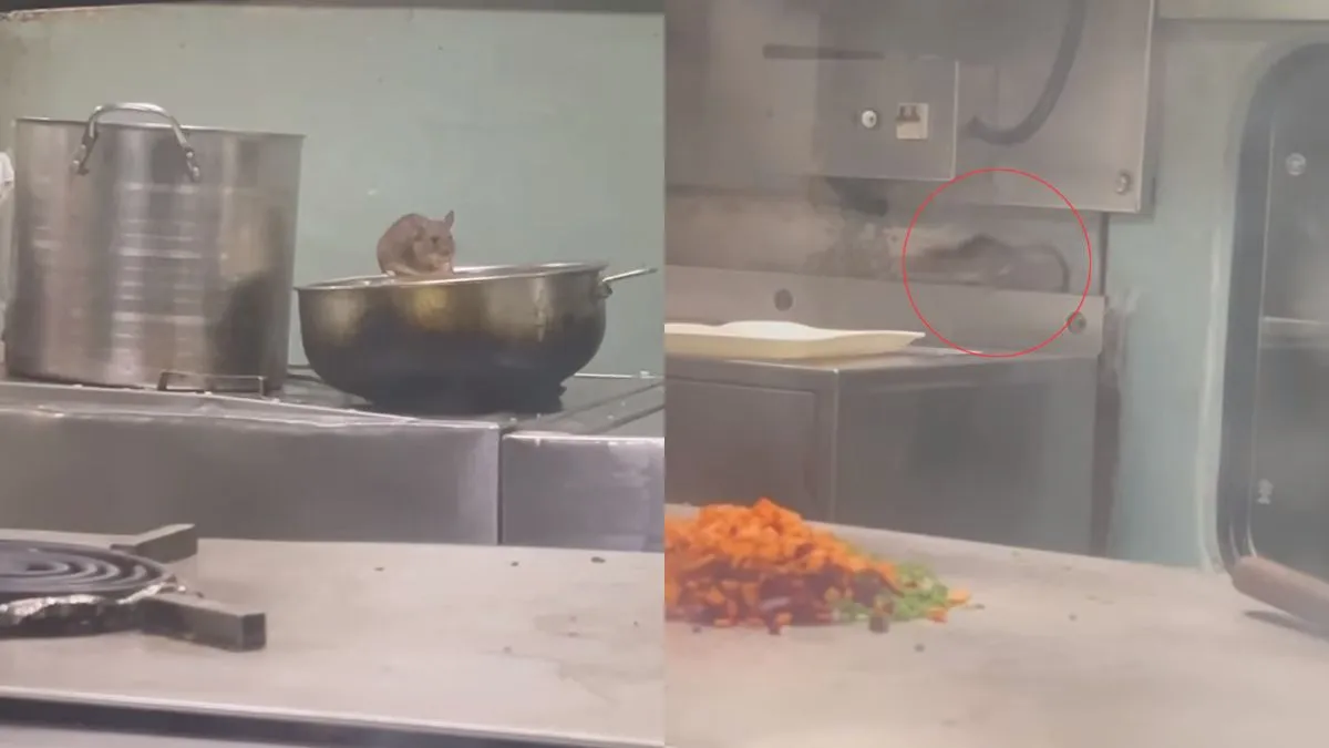 पेंट्री कार में खाना कुतरते दिखे चूहे- India TV Hindi