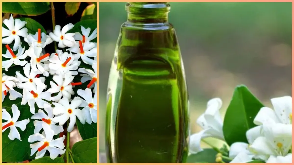 essential oil from flowers- India TV Hindi