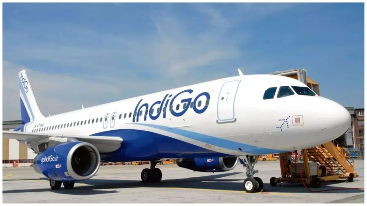 indigo airlines passenger misbehaved with the crew despite multiple warnings police arrested- India TV Hindi