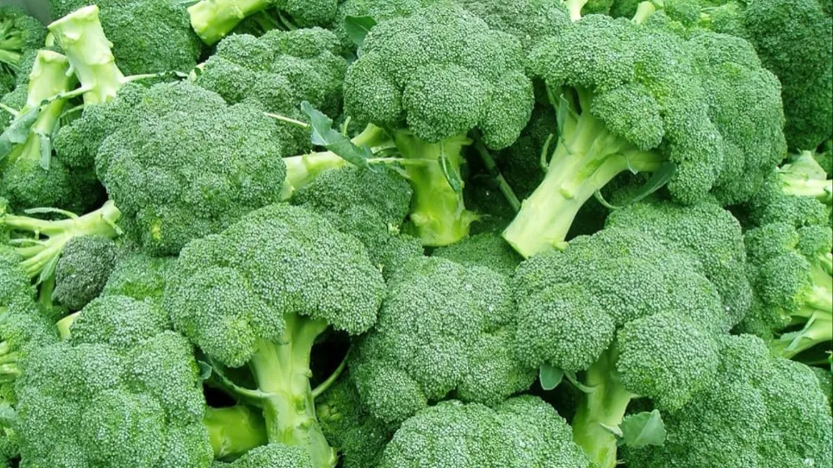 health benefits of broccoli - India TV Hindi
